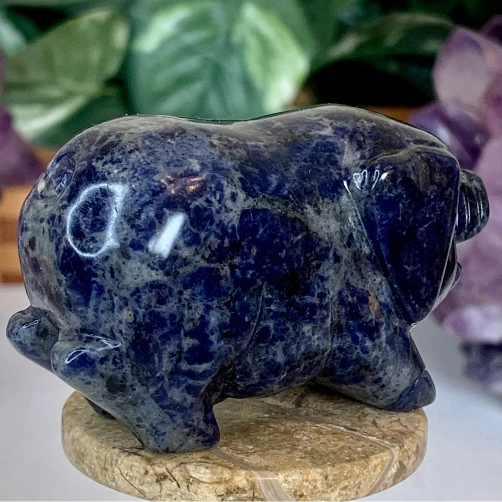 Sodalite Crystal Carved Pig Figurine Blue Stone Animal Carving Chinese Zodiac